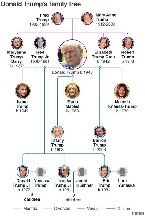 Donald Trump’s Family Tree: All About His Parents, Siblings, .